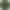Філамент Bambu Lab PLA Matte 11501 Dark Green без котушки (A01-G7-1.75-1000-SPLFREE)