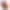 Чехол LAUT TWINE EDGE for iPhone 18 Pro Max - Sunset Hibiscuz (L_IP26D_TE_O) - фото 3