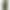 Чохол Silicone Case Open Camera iPhone 12/12 Pro, #35, Olive
