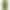 Чохол Textured Matte Case для iPhone 13 Khaki