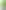 Геймерське крісло Anda Seat Kaiser 4 Bright Green PVC Size XL (AD12YDDC-XLL-20-C-PV/C-01) - фото 1