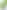 Геймерське крісло Anda Seat Kaiser 4 Bright Green PVC Size XL (AD12YDDC-XLL-20-C-PV/C-01) - фото 3