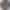 OPPO Watch X Platinum Black OPPO Watch X Platinum Black