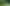 Конструктор Lego Botanicals Collection Щасливі рослини (10349)