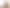 Конструктор Lego Ideas Эволюция STEM (21355) - фото 1