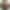 Конструктор Lego Ideas Коллекция насекомых (21342) - фото 5