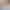Конструктор Lego Marvel Битва Павука та раптора Гоббі у штаб-будинку на дереві (11200) - фото 6