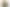 Конструктор LEGO Botanicals Лісові гриби (11505) - фото 1