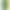 Конструктор Lego Botanicals Нарциси (40747) - фото 1 Конструктор Lego Botanicals Нарциси (40747) - фото 1