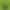 Мікрофонна радіосистема для камери, для смартфона Rode Wireless GO Gen 3 Green - фото 1 Мікрофонна радіосистема для камери, для смартфона Rode Wireless GO Gen 3 Green - фото 1
