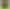 Ноутбук Lenovo LOQ 15AHP11 (83TN00DDRA) Surge Green
