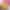 Планшет Blackview Tab 8 Kids 4/128GB Wi-Fi Pudding Pink - фото 1 Планшет Blackview Tab 8 Kids 4/128GB Wi-Fi Pudding Pink - фото 1
