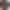 Смарт-годинник Amazfit T-Rex Ultra 2 Black (W2550GL2N) Смарт-годинник Amazfit T-Rex Ultra 2 Black (W2550GL2N)