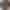 Смарт-годинник Amazfit T-Rex Ultra 2 Black (W2550GL2N) - фото 3 Смарт-годинник Amazfit T-Rex Ultra 2 Black (W2550GL2N) - фото 3