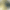 Смарт-годинник Canyon CNE-KW31YB Kids smartwatch Tony, Yellow-Grey (CNE-KW31YB) (UA) - фото 1 Смарт-годинник Canyon CNE-KW31YB Kids smartwatch Tony, Yellow-Grey (CNE-KW31YB) (UA) - фото 1