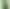 Смартфон Motorola Edge 60 12/256Gb Shamrock (PB7H0032RS)