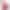 Смартфон Motorola Razr 60 8/256GB Pantone Parfait Pink (Global Version)