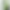 Смартфон OnePlus Ace 5 16/1TB Green (CN)