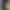 Смартфон Oukitel WP32 Pro 6/256GB Global NFC (Green)