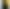 Смартфон Poco M7 Pro 5G 8/256GB  Green (UA)