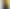 Смартфон Xiaomi POCO M7 4G 8/256GB Silver (with adapter) (Global Version)