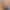 Смартфон ZTE Nubia Z70S Ultra 16/512GB Antique Brown (Global Version)