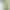 Смартфон Google Pixel 6 8/128GB Sorta Seafoam