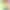 Смартфон Google Pixel 10 12/128GB Lemongrass (JP)