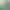 Смартфон Honor X9d 12/256GB Forest Green (Global Version)