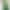 Смартфон Motorola G24 4/128GB Ice Green (PB180011)