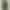 Смартфон Motorola Edge 70 12/512GB Bronze Green (PBA50046) (Global Version)