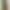 Смартфон Motorola Moto G15 8/256GB Iguana Green (PB6E0020) (Global Version)