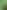 Смартфон Motorola Moto Edge 60 8/256GB Shamrock Green (PB7H0003) (Global Version)