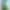 Смартфон Oppo A5 4G 8/256GB Aurora Green (Global Version)