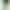 Смартфон OnePlus Turbo 6 16/512GB Green (CN)