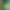 Смартфон Oukitel G5 4/256GB Green