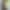 Смартфон Samsung Galaxy A04s 4/64GB Black (SM-A047FZKV)