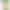Смартфон Samsung Galaxy A56 5G 8/256GB Awesome Pink (SM-A566BLIC) UA