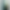Смартфон Poco C81 Pro 4/128GB Green (UA)