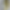 Смартфон Poco M8 Pro 5G 12/512GB Silver (with adapter) (Global Version)