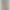 Смартфон Xiaomi Redmi A7 Pro 4/64GB Green (no adapter) (Global Version)