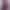 Смартфон Xiaomi 17T Pro 12/1TB Violet (with adapter) (Global Version)