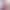 Смартфон Xiaomi 17T 12/512GB Violet (no adapter) (Global Version)
