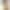 Смартфон ZTE Nubia Flip 12/512Gb Sunshine Gold (Global Version)