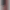 Nokia 8210 Red