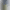 Смартфон Poco F8 Pro 12/256GB Black (no adapter) (Global Version)