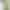 Смартфон Google Pixel 6 8/256GB Sorta Seafoam (JP)