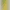 Nokia 3210 4G DS 2024 Gold