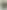 Смартфон Motorola Moto G55 8/256GB Green (adapter) (Global Version)
