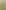 Рюкзак Tucano Laser 15.6"/16", Green (BKLAS15-VM)